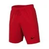Bermuda Nike Strike 22 Knit