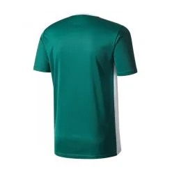 Camiseta Adidas Entrada 18 M/c Niño -zapateria de futbol camiseta adidas entrada 18 mc nino collegiate green white 1