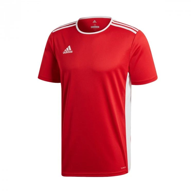 Camiseta Adidas Entrada 18 M/c 1 Camiseta Adidas Entrada 18 M/c