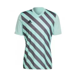Camiseta Adidas Entrada 22 GFX M/c