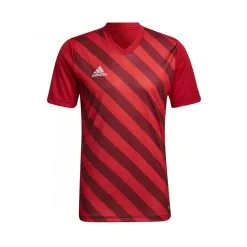 Camiseta Adidas Entrada 22 GFX M/c Niño