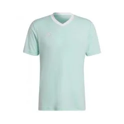 Camiseta Adidas Entrada 22 M/c Niño