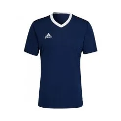 Camiseta Adidas Entrada 22 M/c Niño