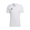 Camiseta Adidas Entrada 22 M/c Niño