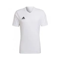 Camiseta Adidas Entrada 22 M/c