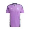 Camiseta Adidas Real Madrid CF Training 2022-2023