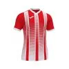 Camiseta Joma Tiger II M/c