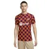 Camiseta Nike FC Barcelona Pre-Match 2022-2023