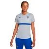 Camiseta Nike Francia Training Euro 2022 Mujer