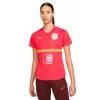 Camiseta Nike Holanda Training Euro 2022 Mujer