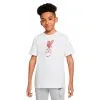 Camiseta Nike Liverpool FC Fanswear 2022-2023 Niño