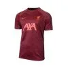 Camiseta Nike Liverpool FC Pre-Match 2022-2023