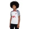 Camiseta Nike Liverpool FC Training 2022-2023 Niño