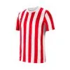 Camiseta Nike Striped Division IV M/c Niño