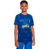 Camiseta Nike Tottenham Hotspur FC Pre-Match 2022-2023 Niño