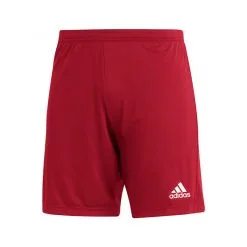Pantalón Corto Adidas Entrada 22