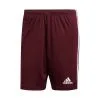 Pantalón Corto Adidas Squadra 21 Niño