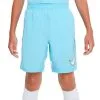 Pantalón Corto Nike Dri-Fit Academy GX Niño