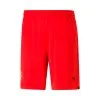 Pantalón Corto Puma Girona FC Primera Equipación Replica 2022-2023