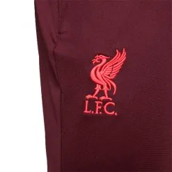 Pantalón Largo Nike Liverpool FC Training 2022-2023 -zapateria de futbol pantalon largo nike liverpool fc training 2022 2023 burgundy crush 3 1