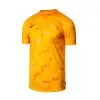 Camiseta Nike NIKE FC Dri-Fit Libero GX